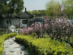 -南汇桃花村