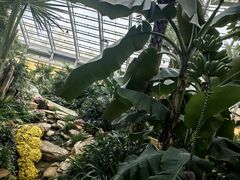 -济南植物园