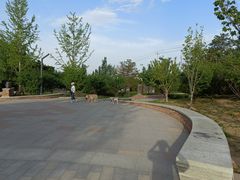 -坝河休闲公园