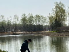-东郊湿地公园