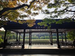 -北山街历史文化街区