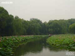 -紫竹院公园冰场