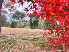 -嘉北郊野公园