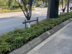 -新江湾城公园