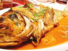 红烧百花鱼-金海湾海鲜总店