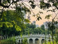 -四海公园(南山区)