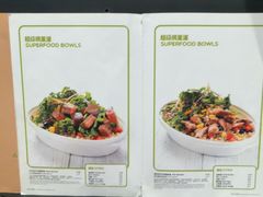 -油梨树AVOCADO TREE(嘉里中心店)
