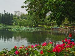 -深圳龙潭公园