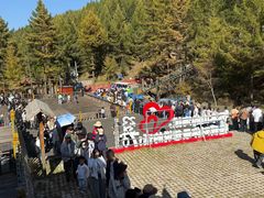 -苏木山森林公园