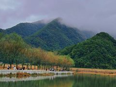-神农架景区