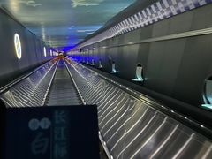 -白鹤梁水下博物馆