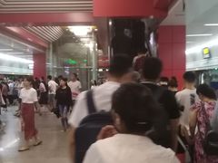 -望京西(地铁站)