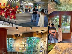 -帕帕拉兹宠物(亚洲旗舰店)