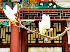 -颐和园