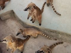 -杭州野生动物世界