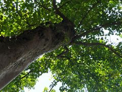 -龙环葡韵住宅式博物馆