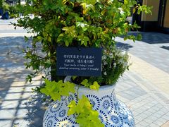 -比斯特上海购物村精品奥特莱斯