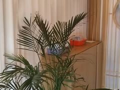 -耳音·采耳馆(尹山湖店)