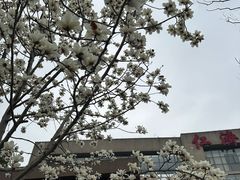 -上海交通大学医学院附属仁济医院(南院)