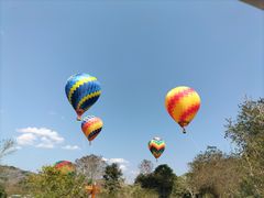-中国科学院西双版纳热带植物园