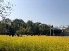 -北坞公园