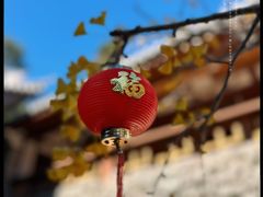 -寂照庵