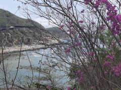 -三亚西岛海洋文化旅游区