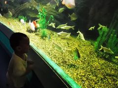 -常州海昌海洋探索馆