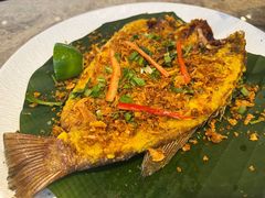 -美奈小馆·东南亚菜(福田星河COCO Park店)