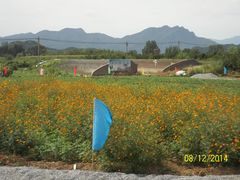 -北京东方普罗旺斯薰衣草庄园