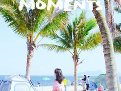 -玫瑰海岸文化旅游度假区
