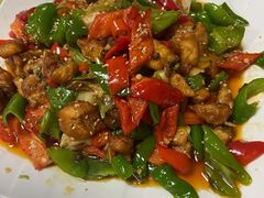 -煲来饱去冷水鱼