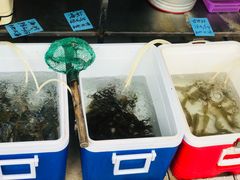 -有间冰室(侨港风情街店)