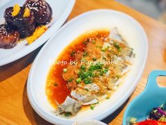 -喜上喜鸡煲翅(吉大店)