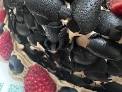 -维尔纳斯·生日蛋糕·动物奶油冰淇淋蛋糕(六里桥店)