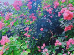 -小时光咖啡馆(北锣鼓巷店)