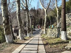 -莫干山风景区