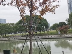 -刀马旦养生中心(时代店)