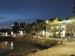 -三圣花乡旅游区