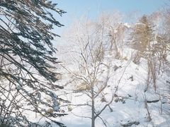 -二世谷昆布温泉鹤雅别庄杢之抄