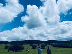-武陵山森林公园
