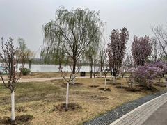 景点-水西公园