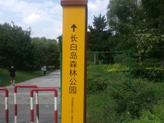 -长白岛森林公园
