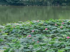 -云龙湖旅游景区