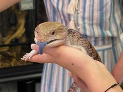 -义乌之心城市生活广场