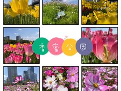 -香蜜公园