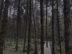 -石棉县孟获城
