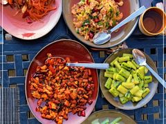 -松赞拉萨林卡酒店