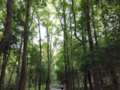 -紫金山山顶公园