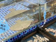 -天盛海鲜烧烤大排档·本地小海鲜·牟平腿穗子(幸福店)